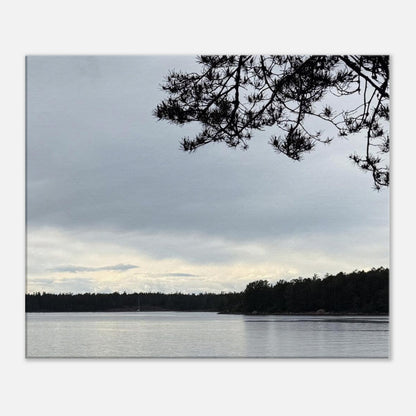 1a6f9d20-53ab-4274-8ce8-8e3161aa0195