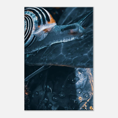 1a950e60-779e-48c6-849b-dd4cb449b8e3