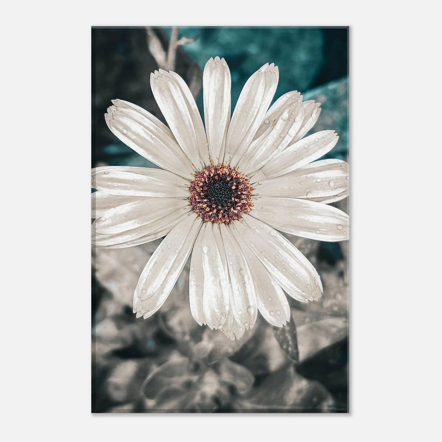 1a9b77df-f3ec-47b5-8dcc-ff7d6c3ee37d