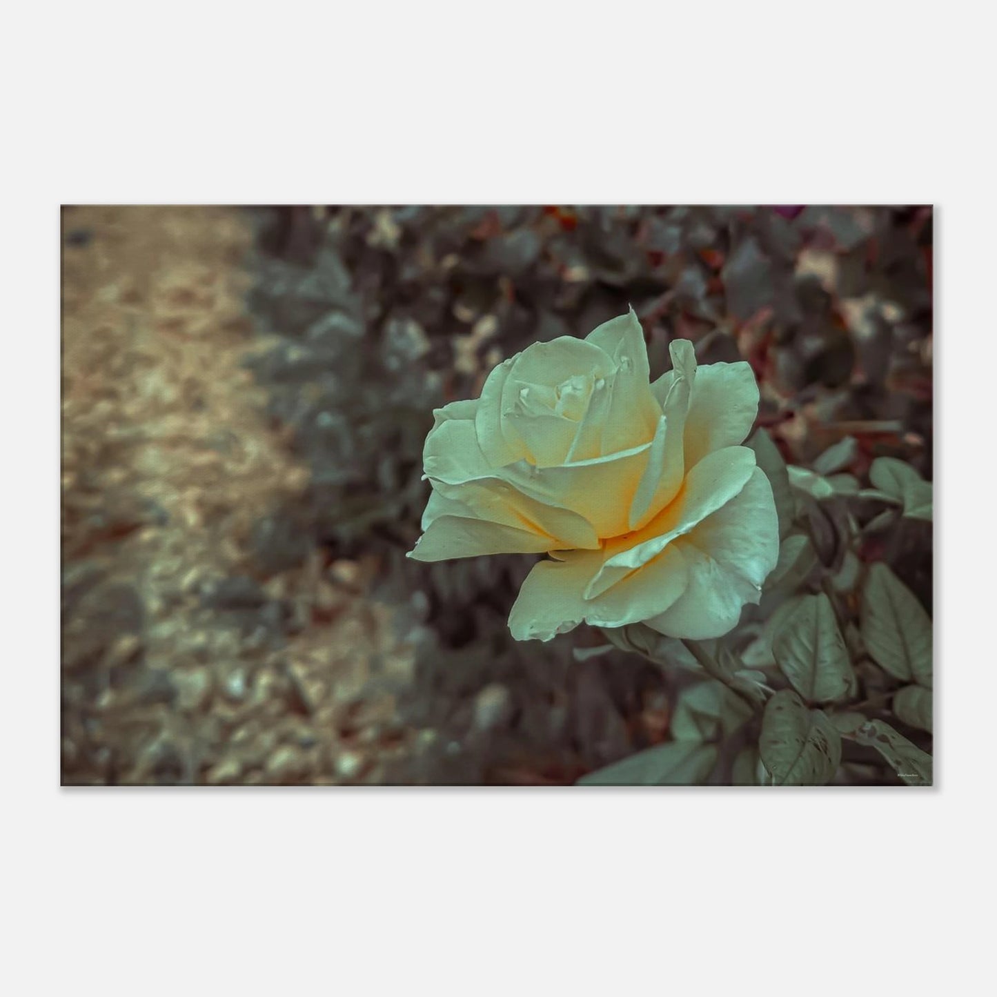 1aa0327f-2886-4278-b998-f2a3d5af2494