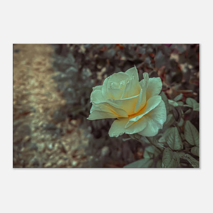 1aa0327f-2886-4278-b998-f2a3d5af2494