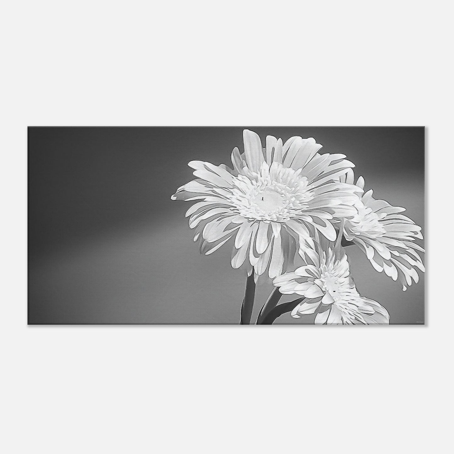 1aa5880c-9117-407d-bf79-4274caaa76b8