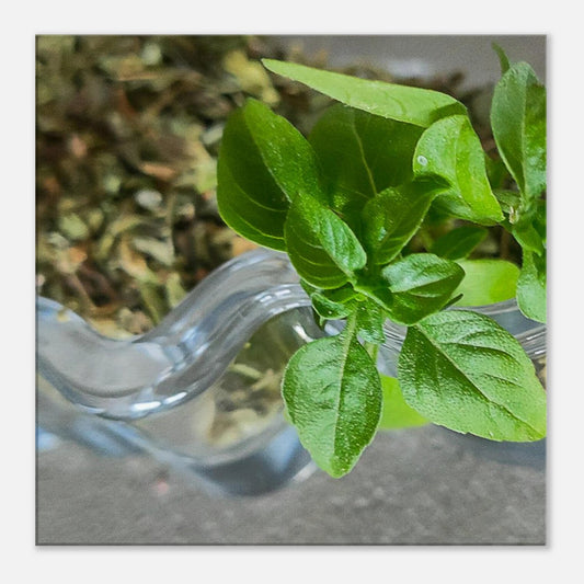 1ab2f004-943f-4e5f-88b0-5b5a677d0867