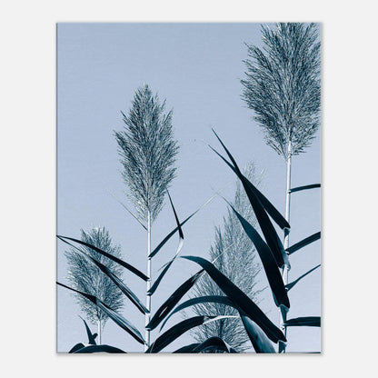 1ab854c0-a11d-42b7-a010-ae35b613c7a2