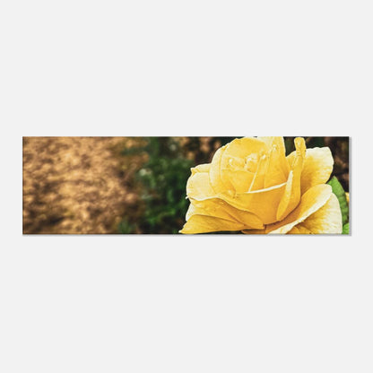 1ade9966-4d81-4d14-9243-53f40cf89bbb