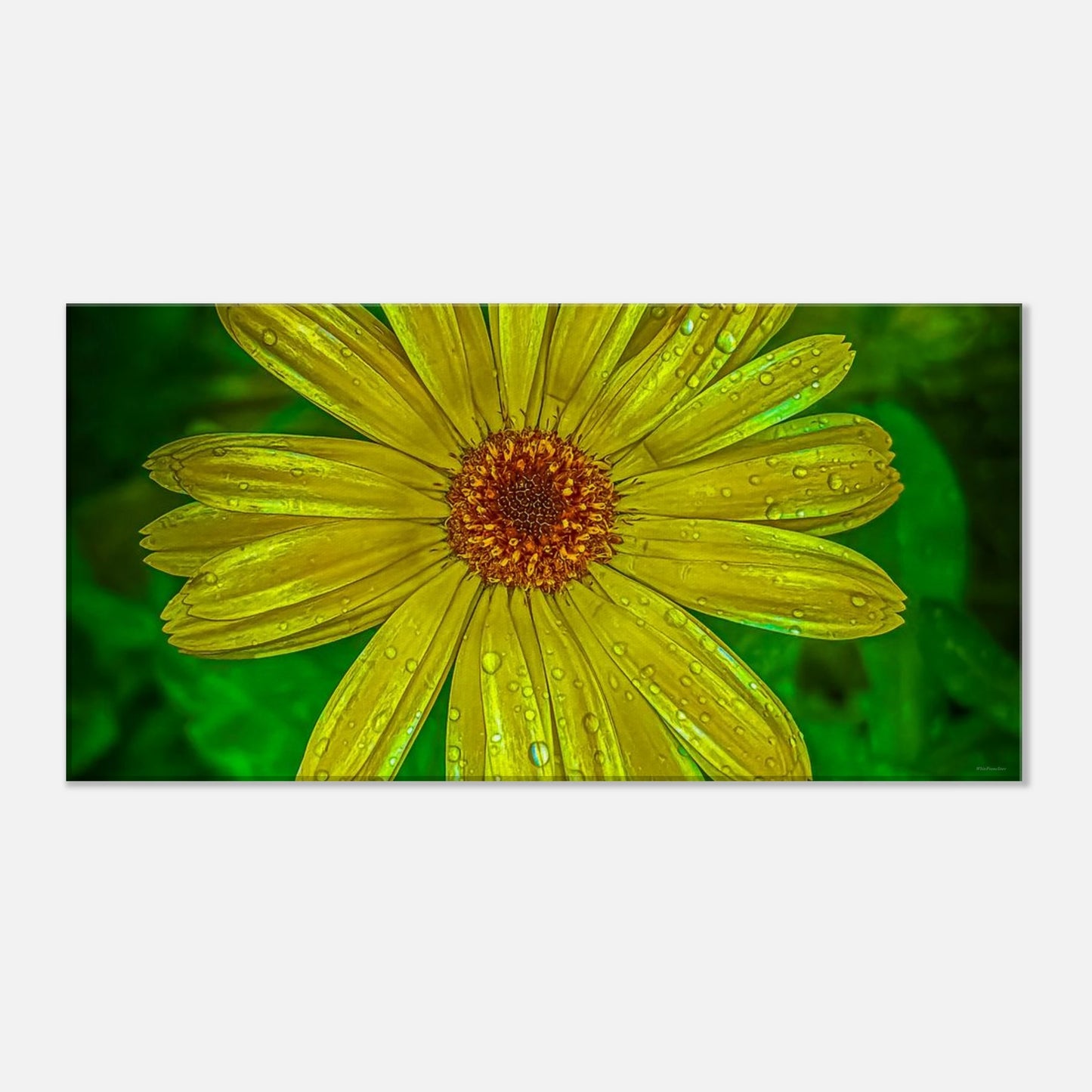 1ae78633-3e86-427d-95ac-be918b86a90e