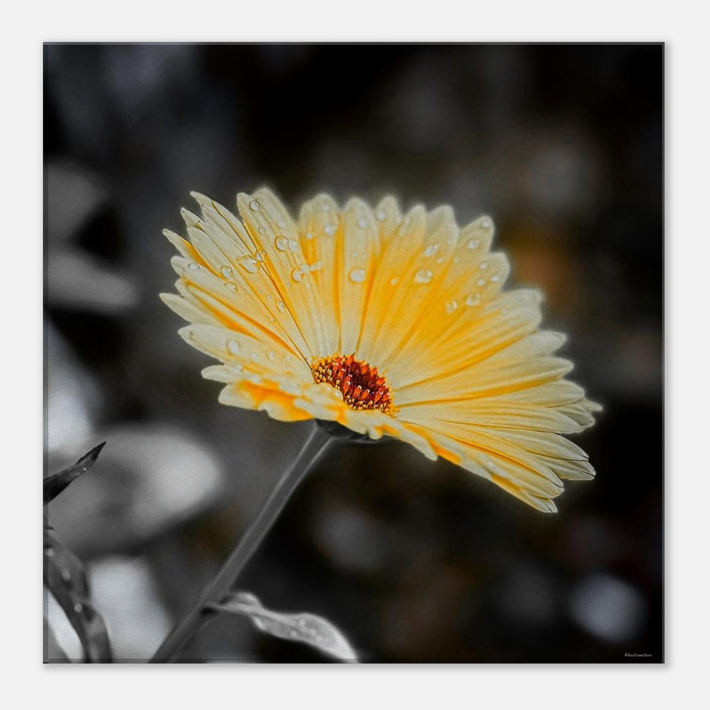 1b446db4-a701-4dc5-858d-53901f842761