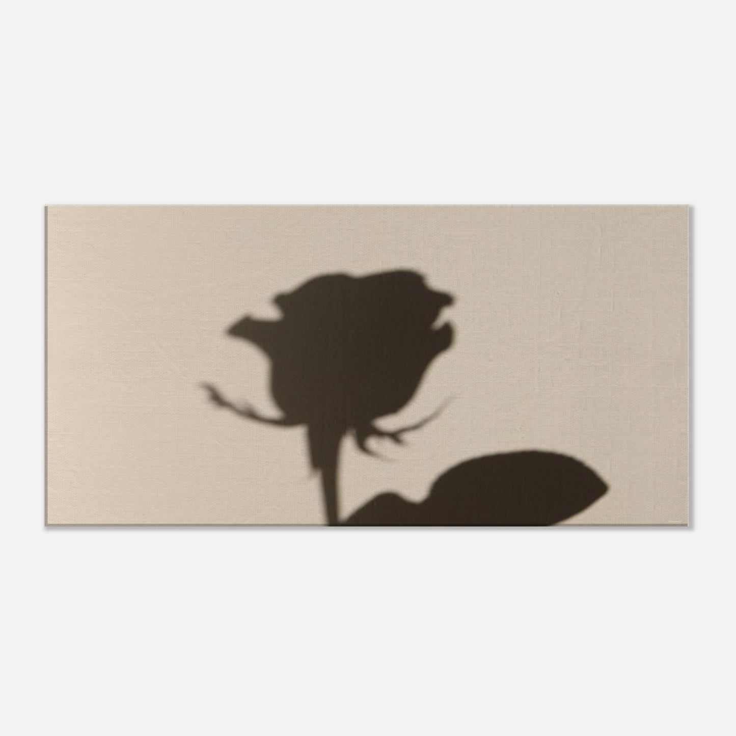 1b77eb5e-3585-4618-82ee-e6495b7ba544