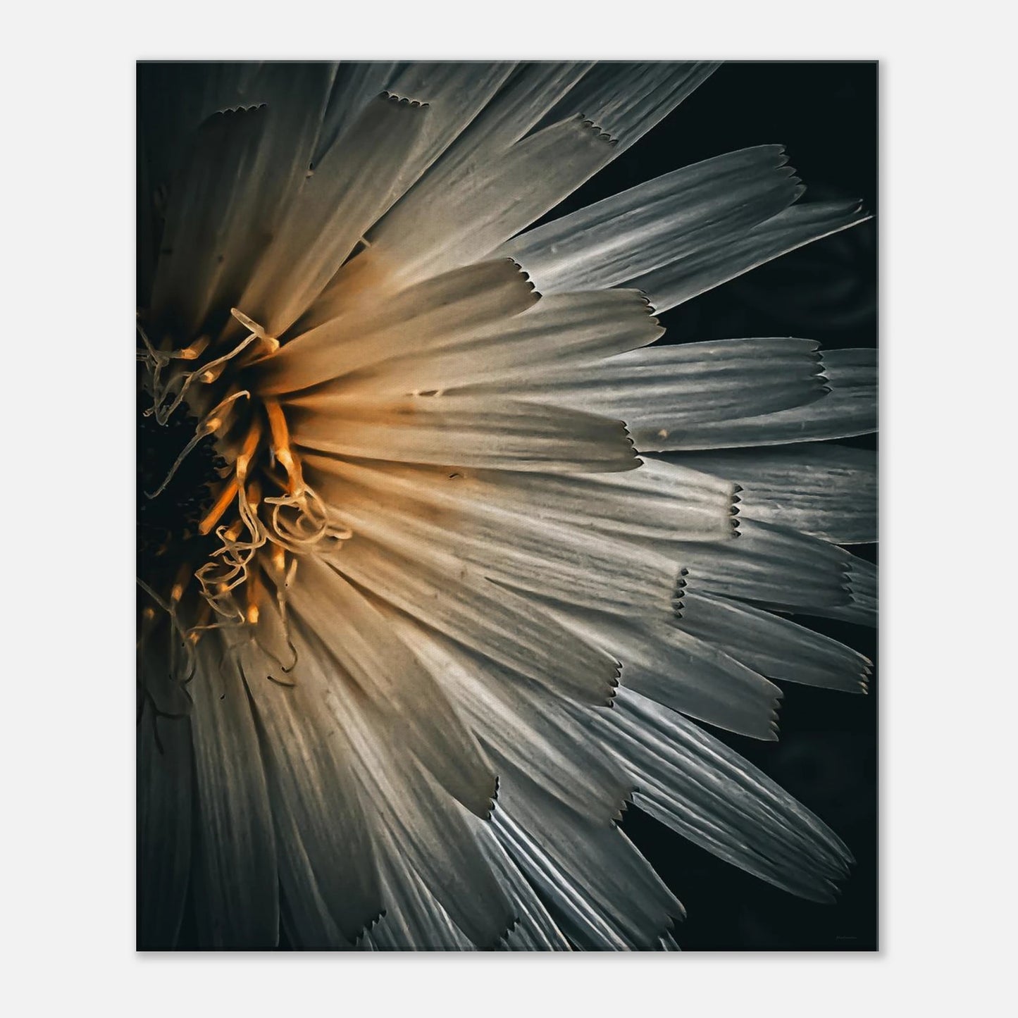 1b9cba1b-e1f6-4b1d-b55a-89e6ae6095bb