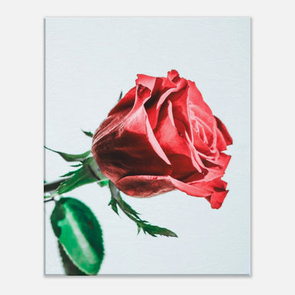 1bc04a80-490d-4e0e-8f18-0768e534f01f