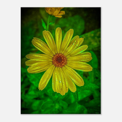 1c0cb528-dc8e-452c-9b16-144cc9e9272b