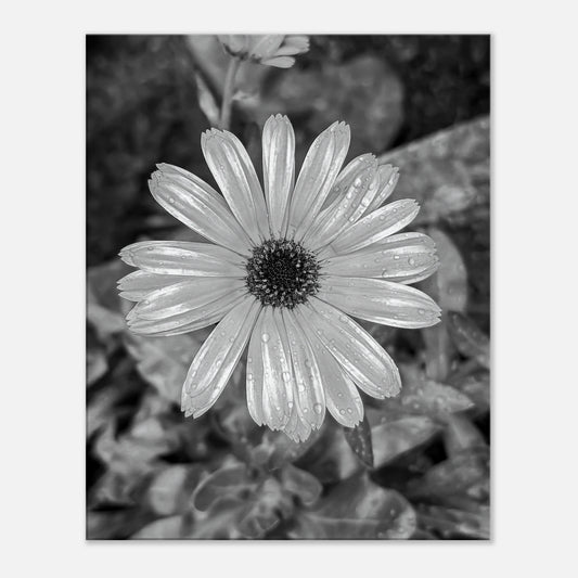 1c0f4351-d756-480d-b581-b718f4ea1426