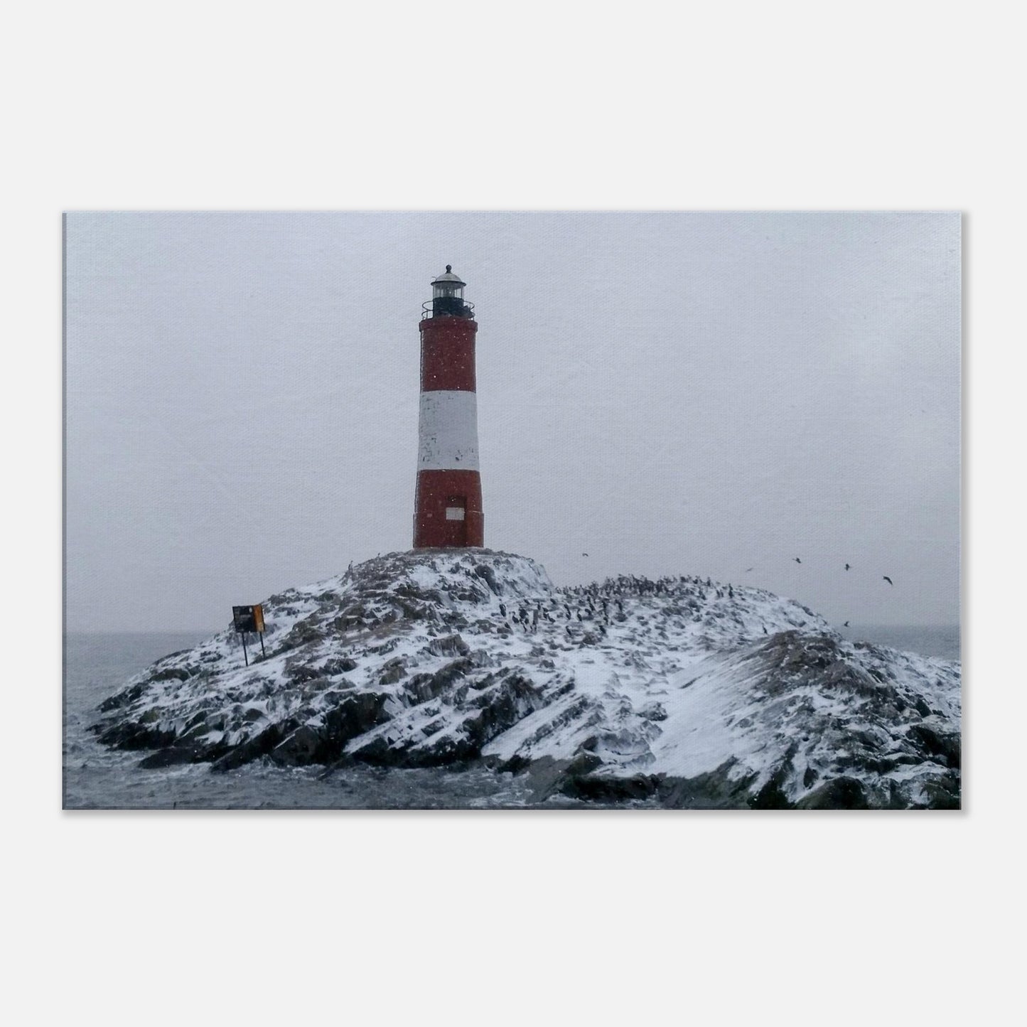 1c11ded8-fe5e-4ca6-8935-b76adaafe12d