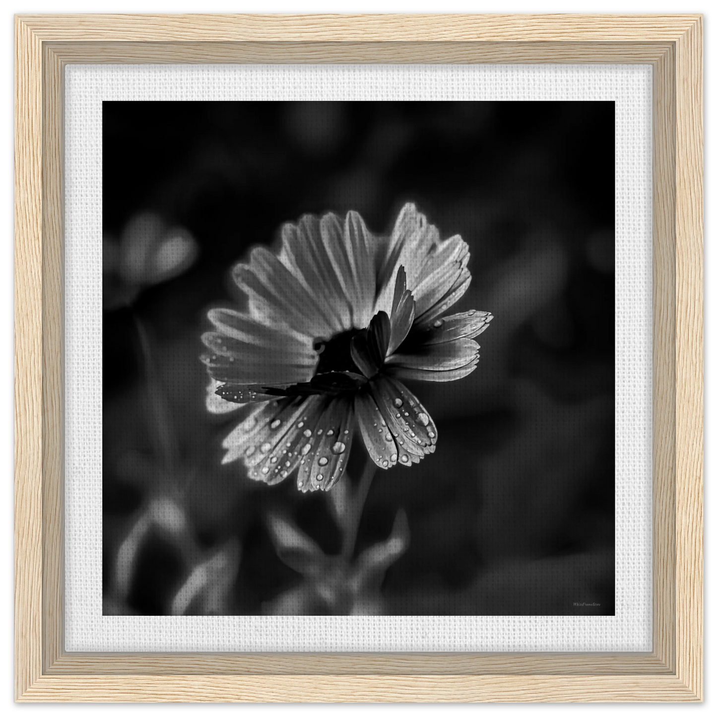 1c2a75ef-a8f2-4b48-9a75-35813ec79a98