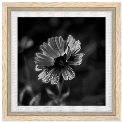 1c2a75ef-a8f2-4b48-9a75-35813ec79a98