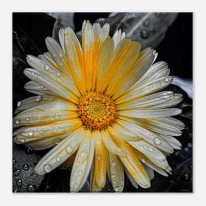 1c3ac798-bb41-49ef-aa3c-b88849c06d11