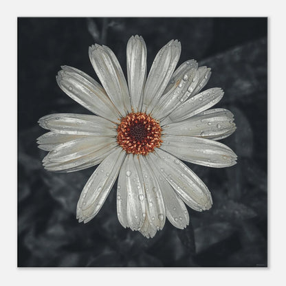 1c45d8fa-e5c2-4039-8948-c300d3ace1ef