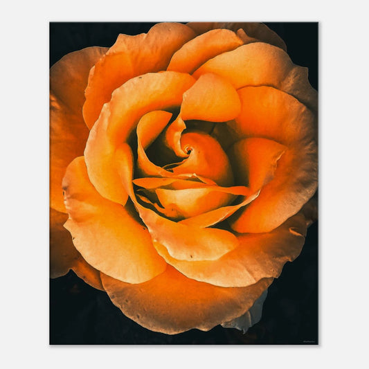 1c503c90-776d-499f-adcf-80d281fc1422