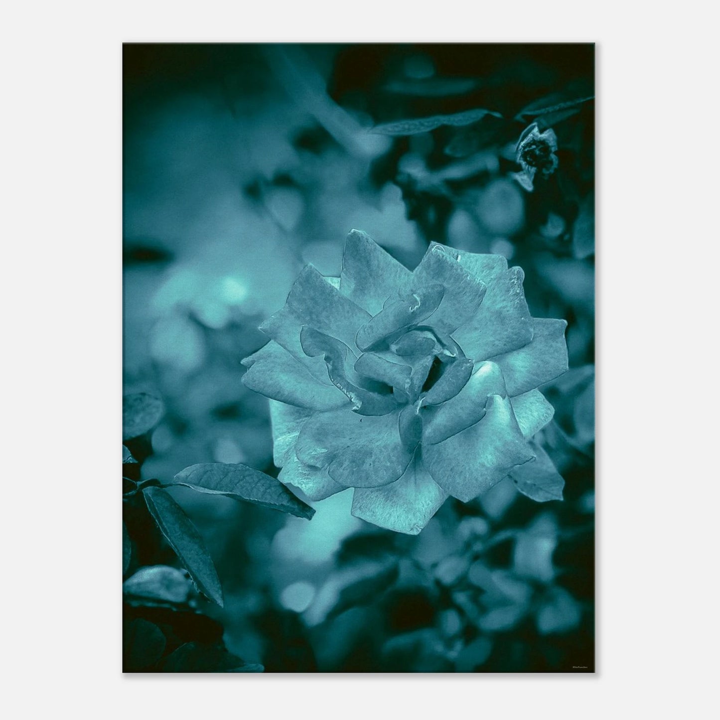 1c7ea151-8d01-4d7f-b0d2-cfb0ecd576e8