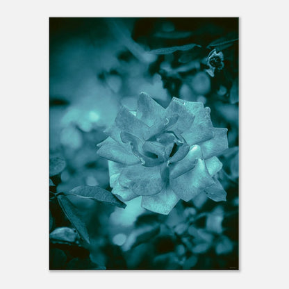 1c7ea151-8d01-4d7f-b0d2-cfb0ecd576e8