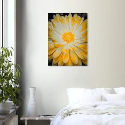 1c9d362a-558f-4bdf-b6f6-a1ec7aa69bb0