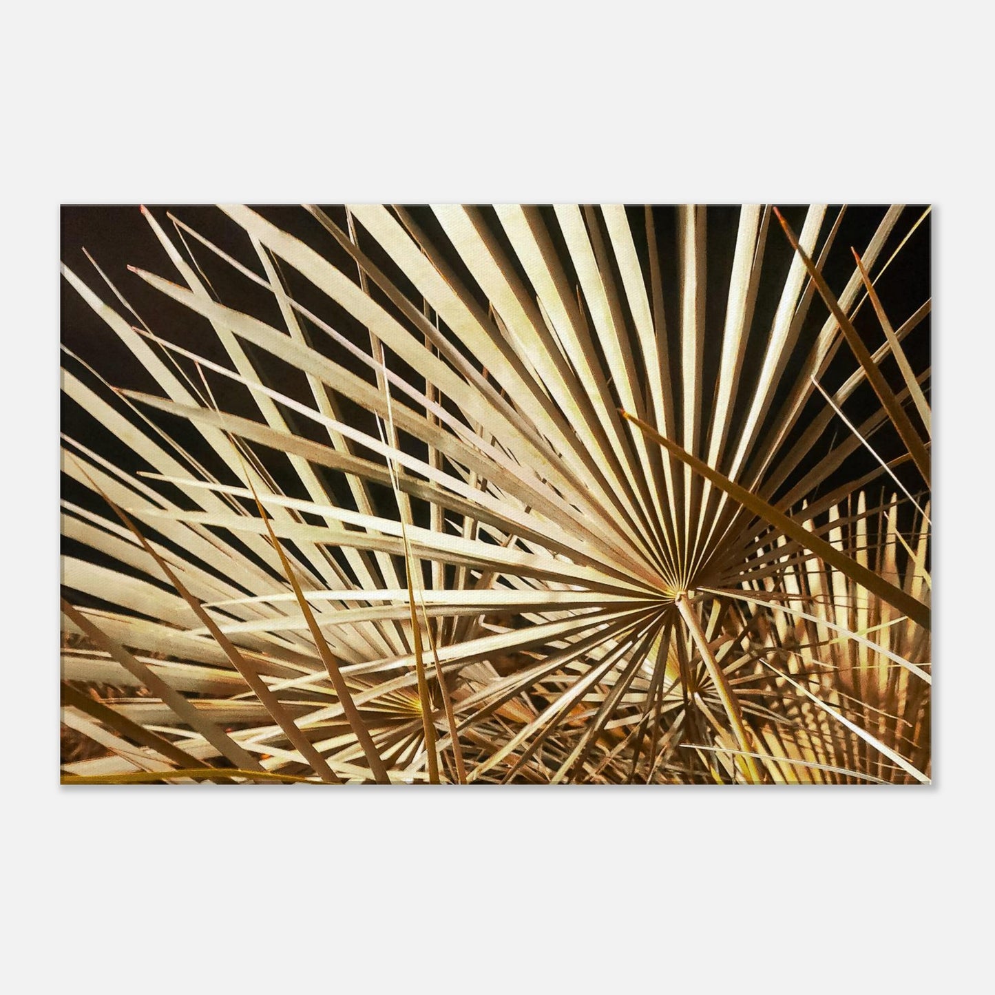 1cba2159-d4dd-4e45-a28f-31b78c3a2ed9