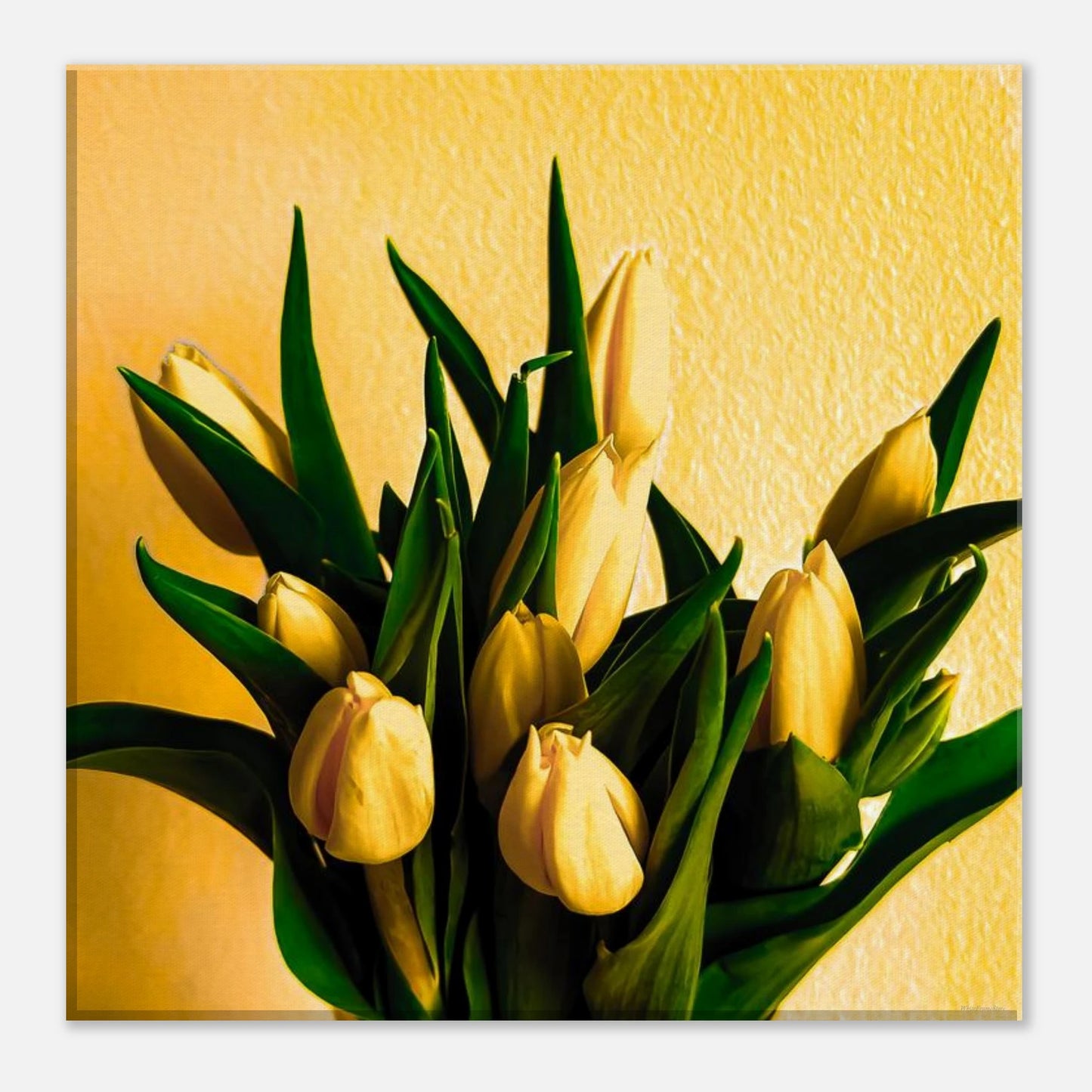 1cc26742-887c-4d93-869b-4c8eda66b35c