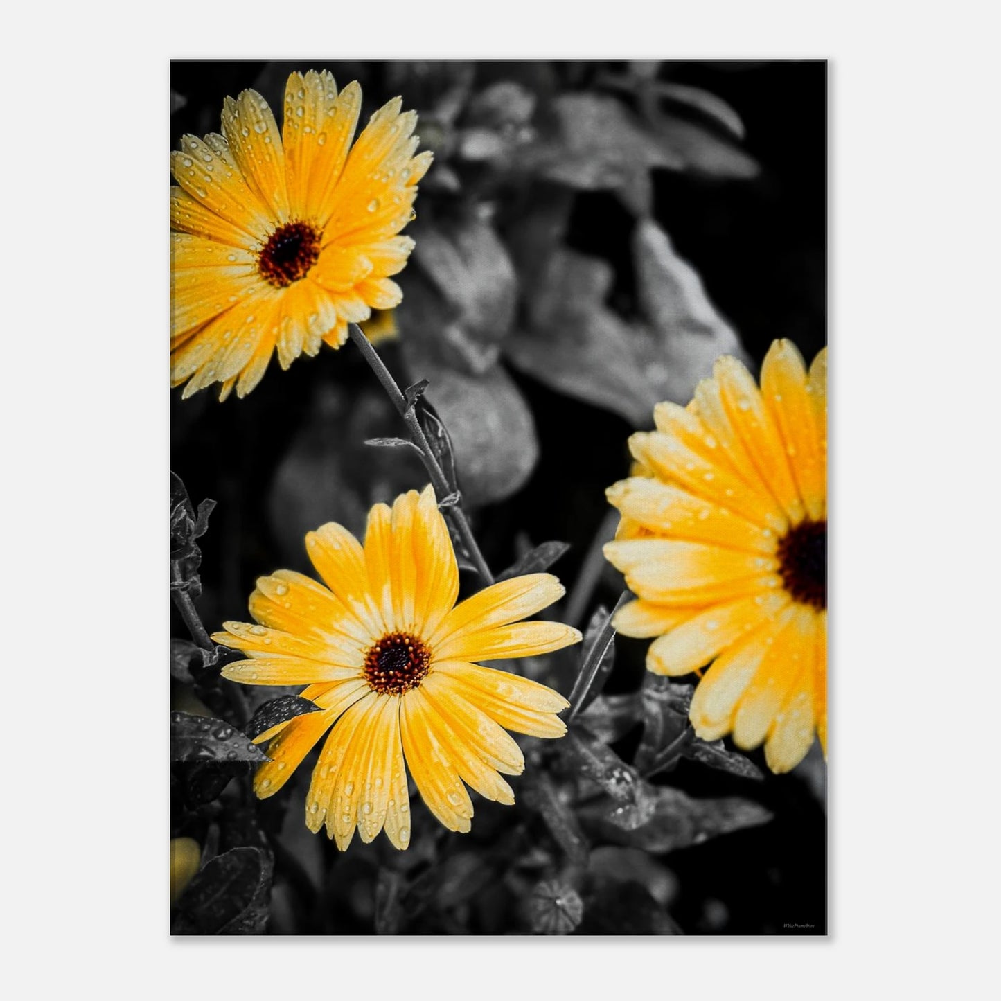 1ceb4607-b909-421d-8bbb-f75d518de698