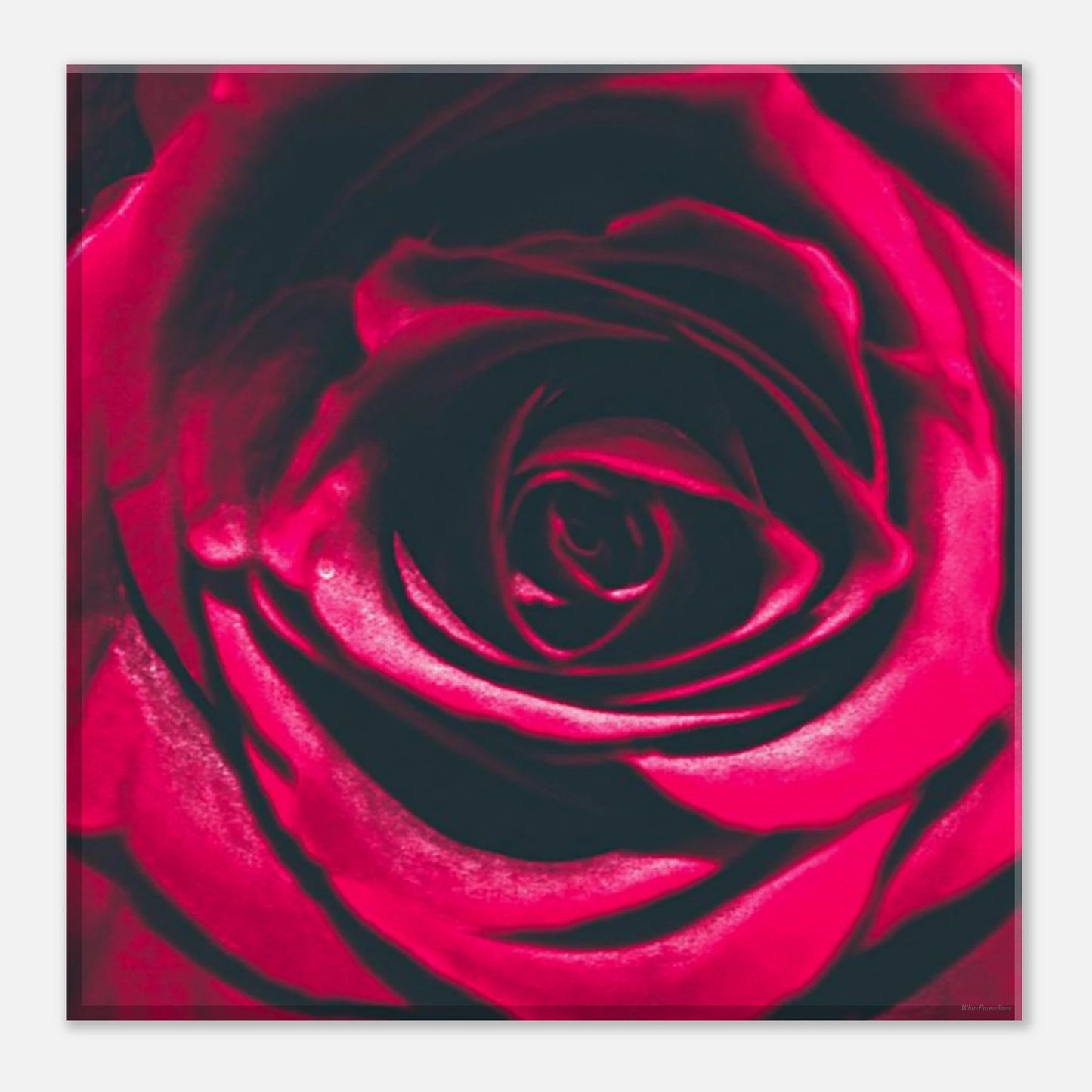 1cfdc13c-bd40-4b77-adc9-12058226234d