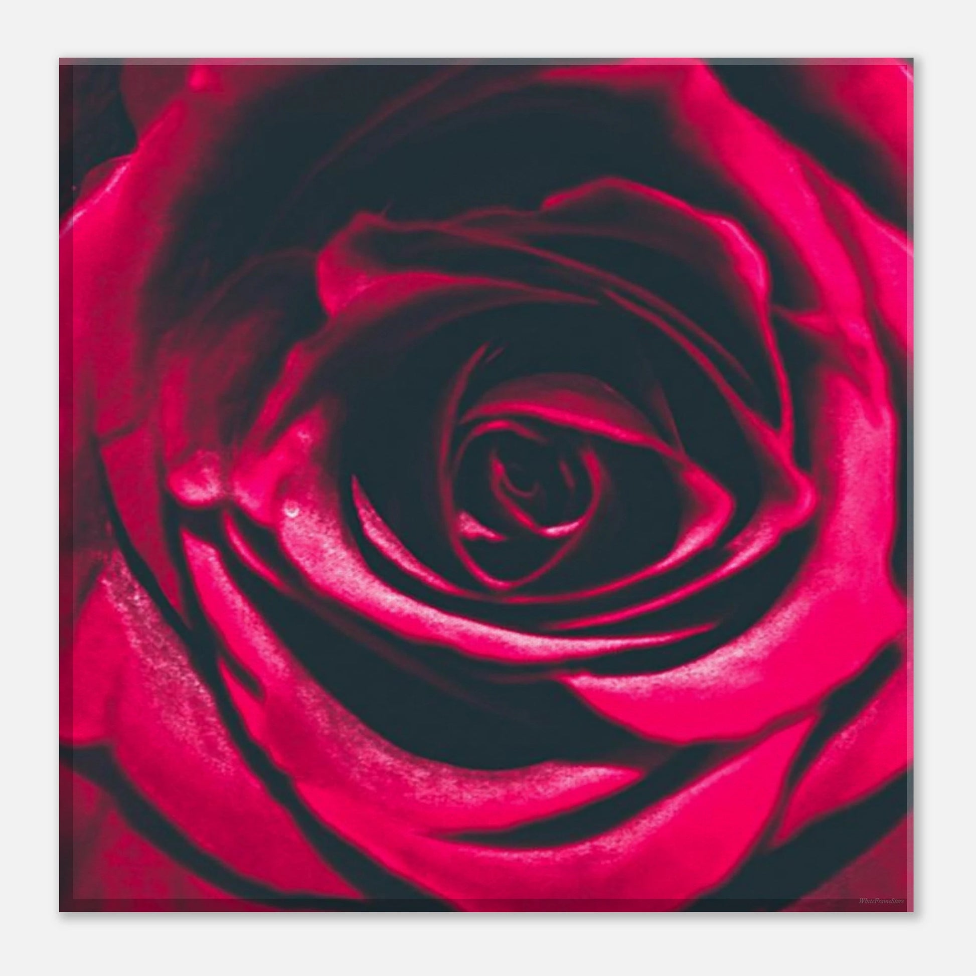 1cfdc13c-bd40-4b77-adc9-12058226234d