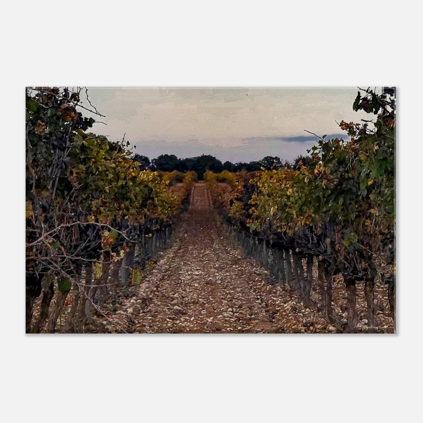 1d484429-def3-4bf6-9d0b-998bb3927769