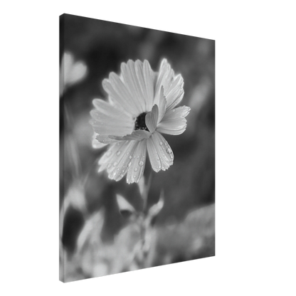 1d485f64-7afb-481c-b600-5f1a3e9c54c0