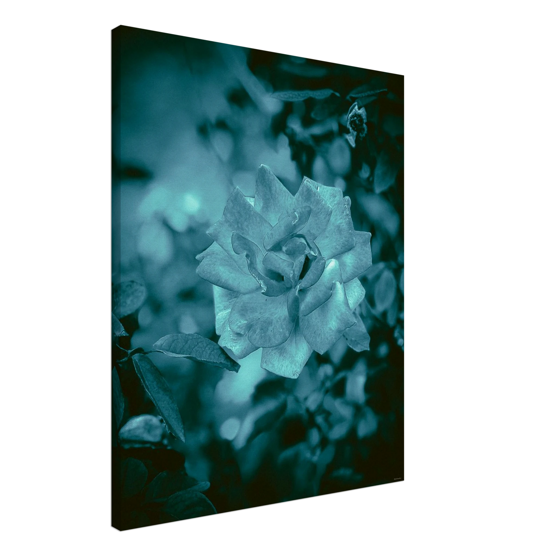 1d6cac7b-139f-41fe-87a2-06c0a8f691c3