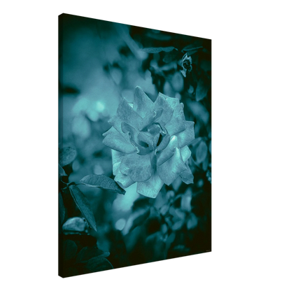 1d6cac7b-139f-41fe-87a2-06c0a8f691c3