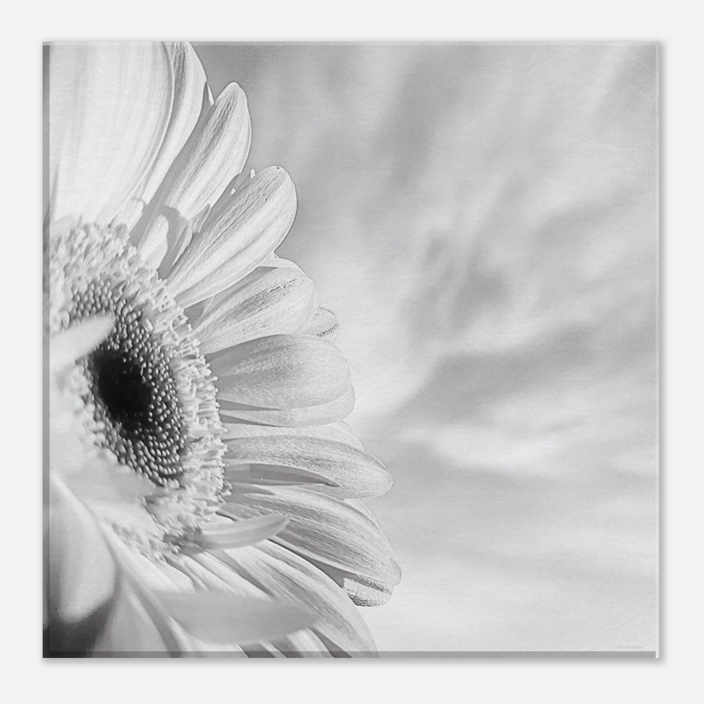 1d70e453-425e-4182-8d95-e6ac3dd4de78