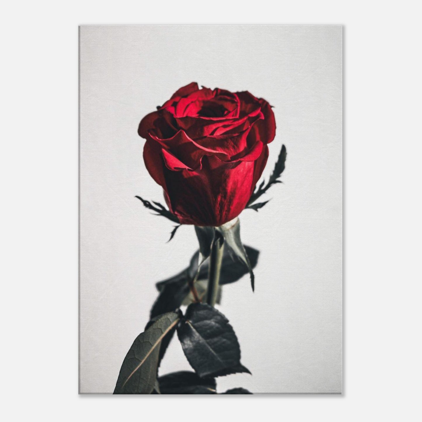 1d8eebda-721e-4064-94ba-8f016ef2b383