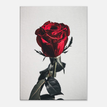 1d8eebda-721e-4064-94ba-8f016ef2b383