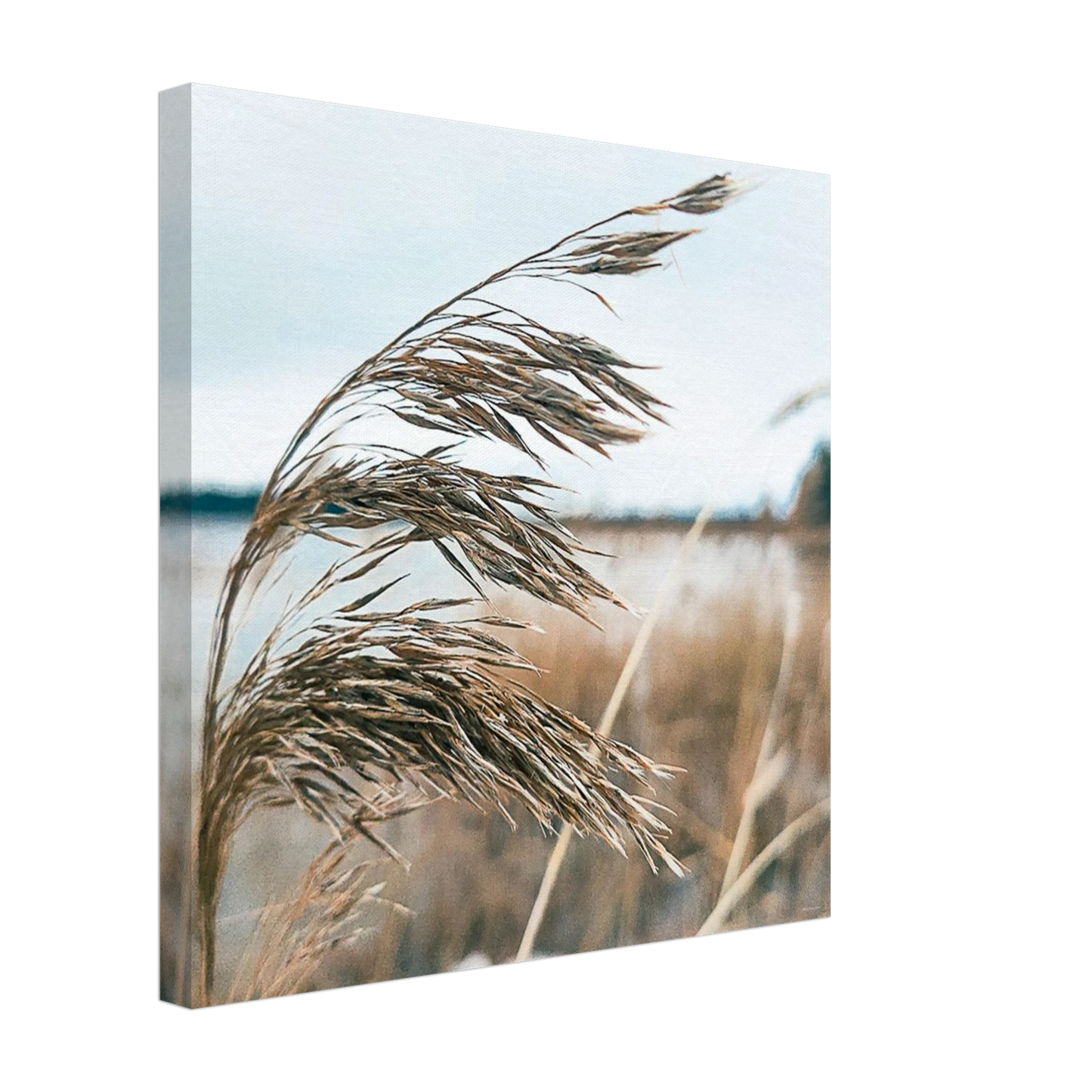 1d98a294-2022-4e0d-b328-6c52bbab467c