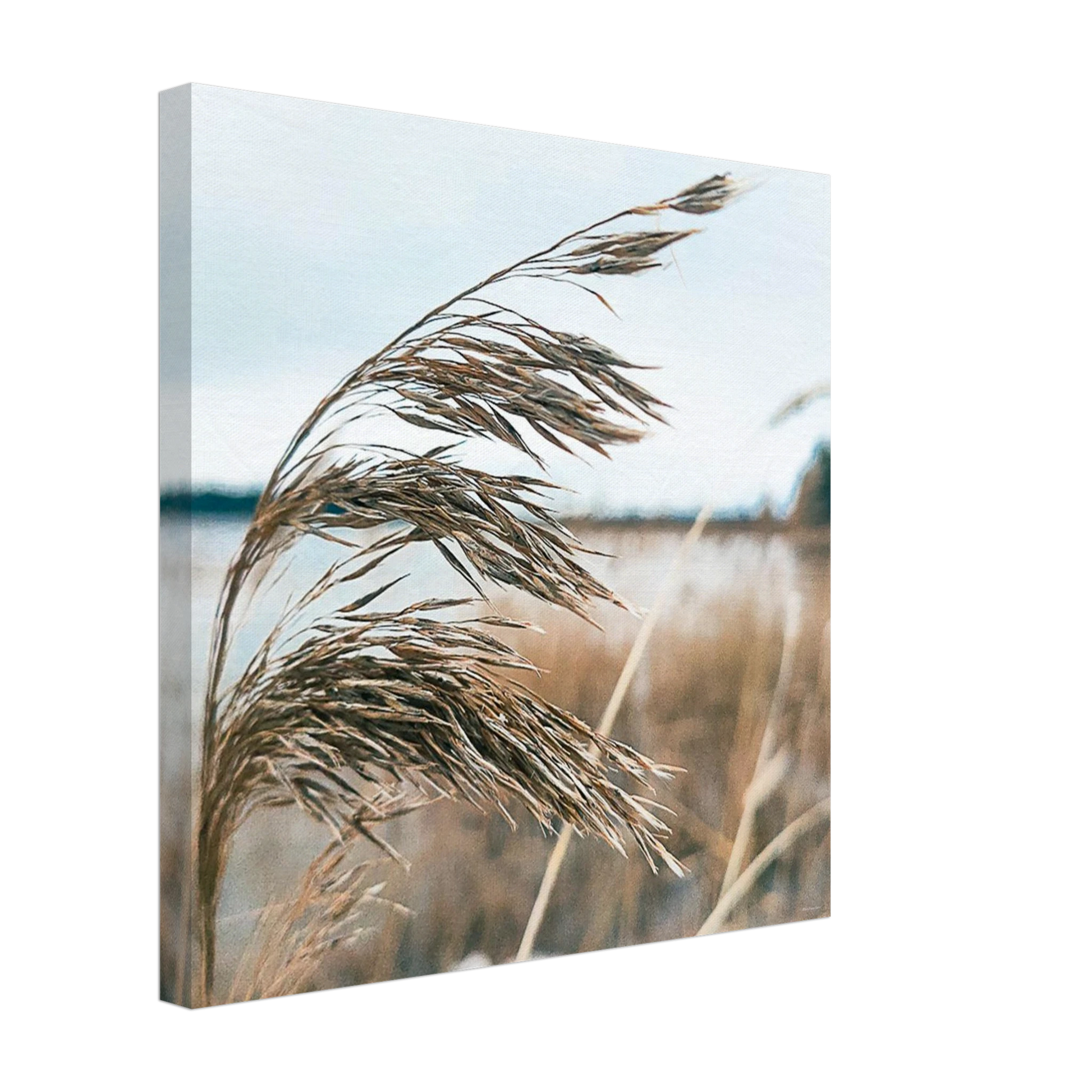 1d98a294-2022-4e0d-b328-6c52bbab467c