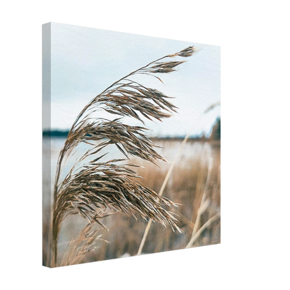 1d98a294-2022-4e0d-b328-6c52bbab467c