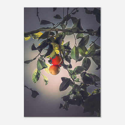 1da03012-f519-4530-b10c-c7cdc7e19adf