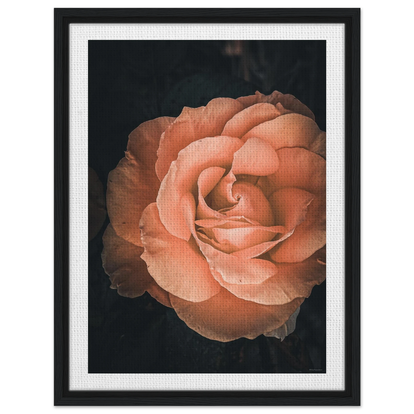 1dd3f07e-e316-4c39-8758-0a41ca7d0c94