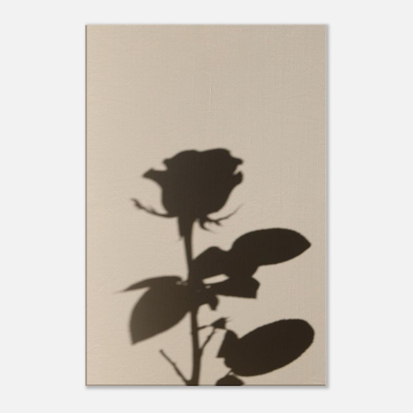 1e109e1d-3810-48dd-8847-9573f2117941