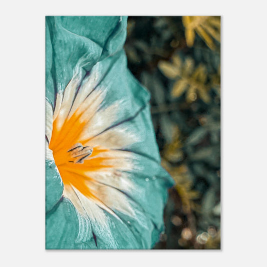 1e1eb1f5-e70c-42db-8402-e686793d5e6a