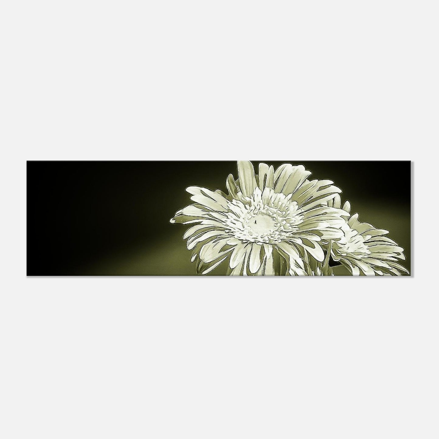 1e209707-6be7-427f-b4de-42f721ca18fa