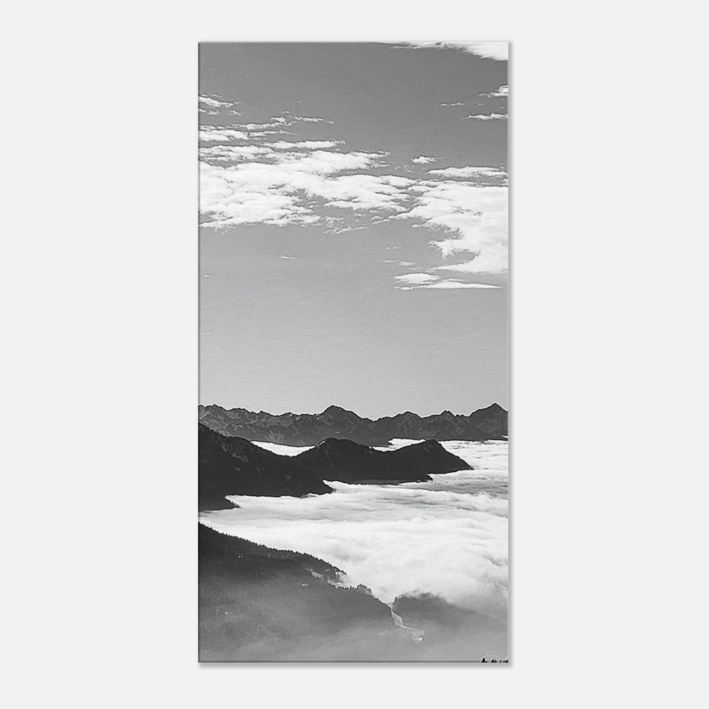 1e2313ed-b2ba-4547-999c-4c7f091ef0fc