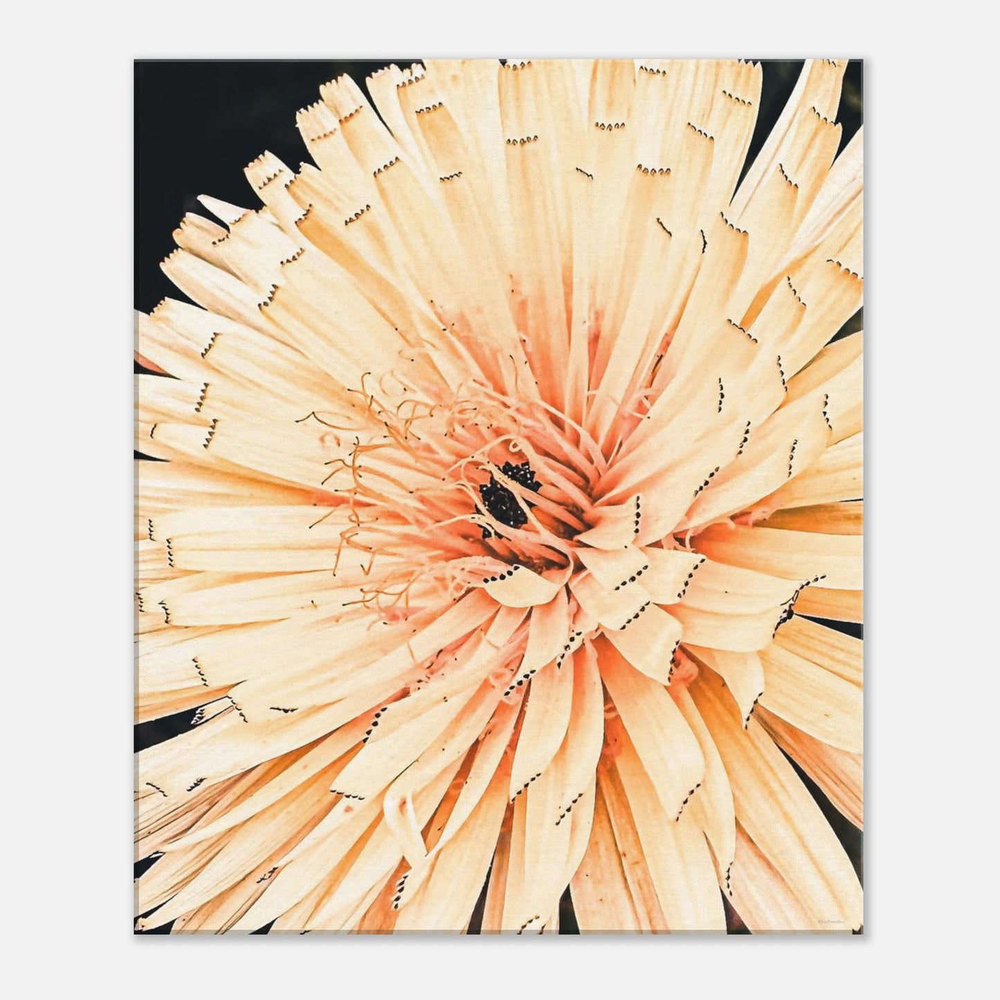 1e31d496-4e85-4e7a-8700-2ad3e6a3966f