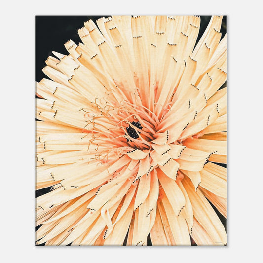 1e31d496-4e85-4e7a-8700-2ad3e6a3966f