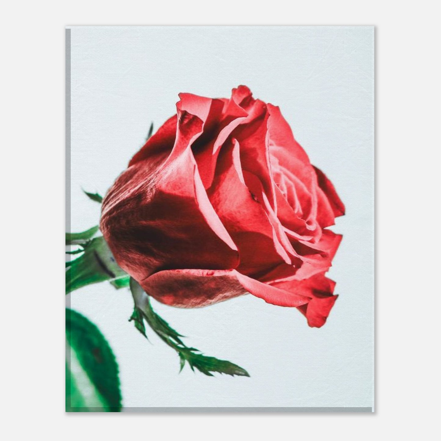 1e545dd0-5d9c-4fbc-a71d-5152e41060c9