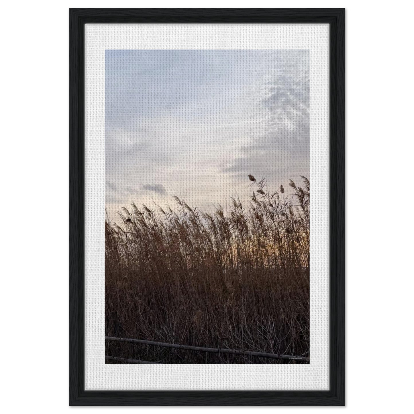 1e5753ef-4d01-45b2-a77f-ae61d9109aa9